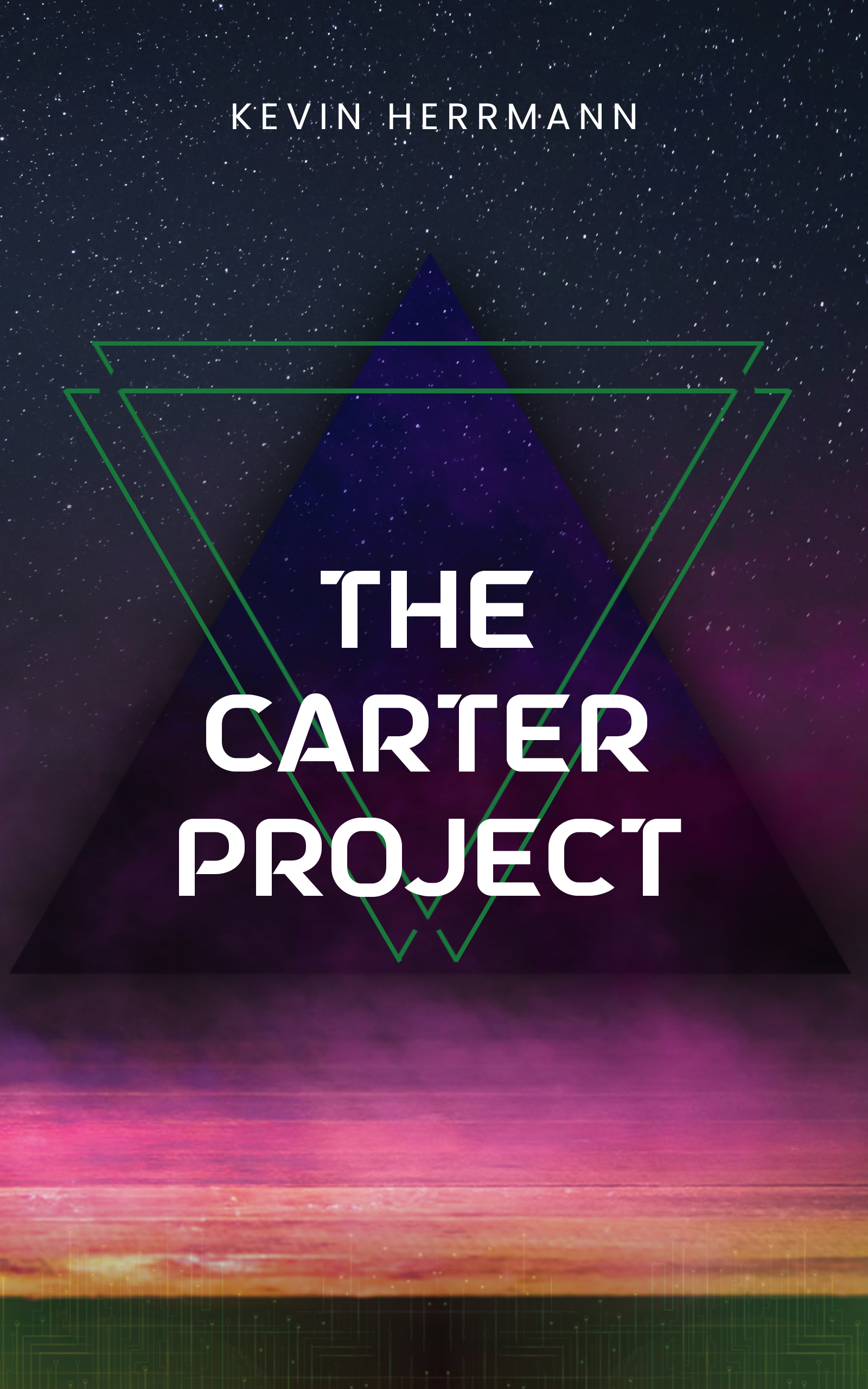 book cover for The Carter Project